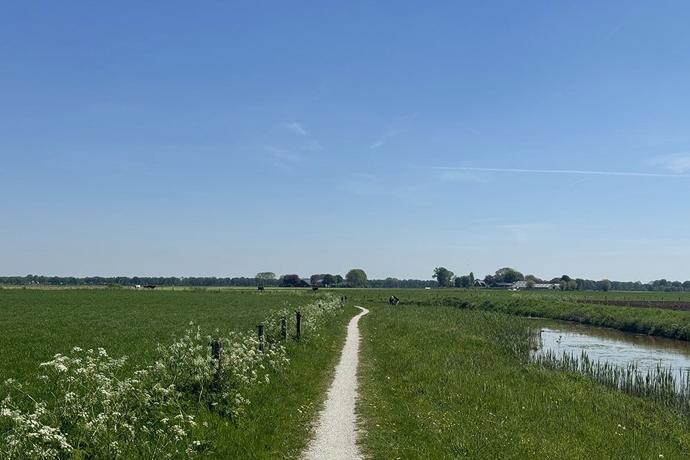 grijsopreis-nederland-highlight-pieterpad-etappe7-natuur-sloot-mobiel Sloot