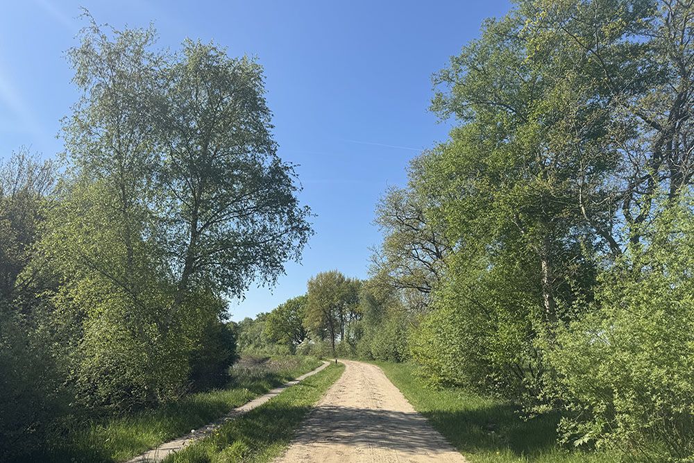 grijsopreis-nederland-highlight-pieterpad-etappe7-zandweg-mobiel Zandweg