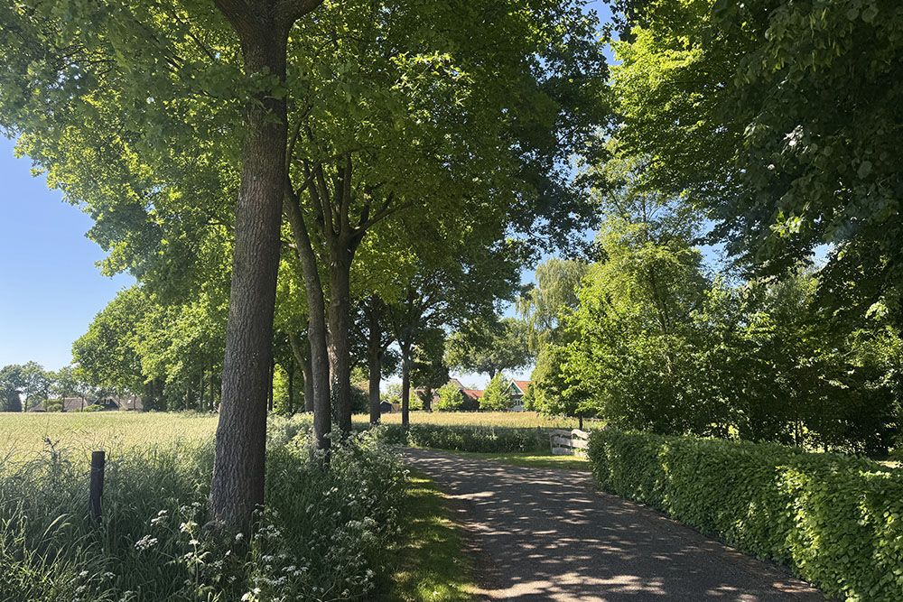 grijsopreis-nederland-highlight-pieterpad-etappe8-gramsbergen-weg-mobiel Gramsbergen verlaten