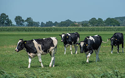Boerderijdagen 2025 – exclusief kijkje achter de schermen
