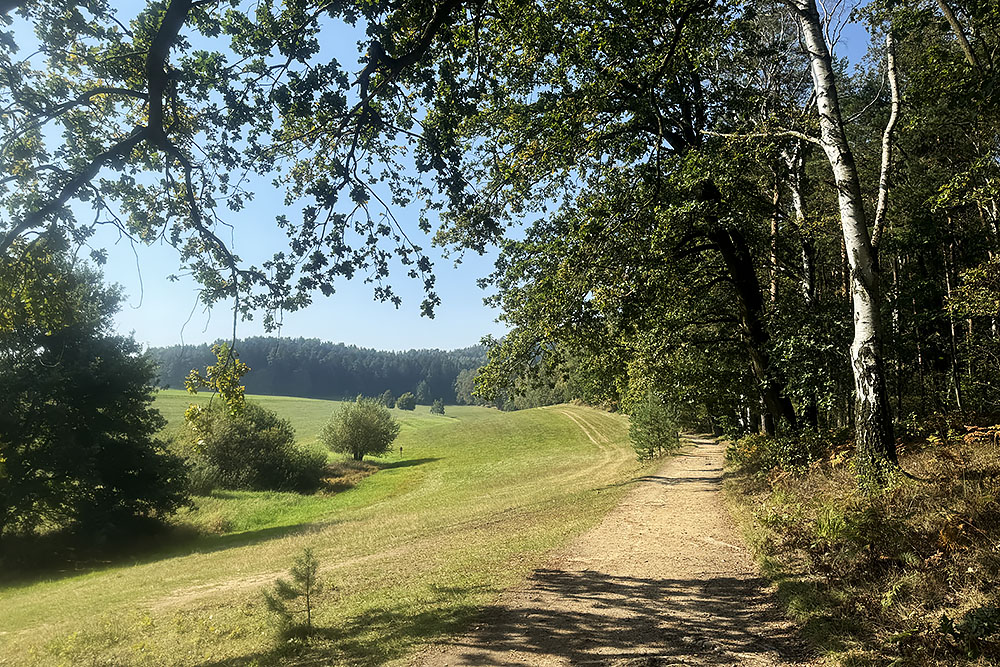 grijsopreis-duitsland-highlight-malerweg-etappe6-kleinhennersdorf-mobiel Weilanden aan etappe 6 van de Malerweg