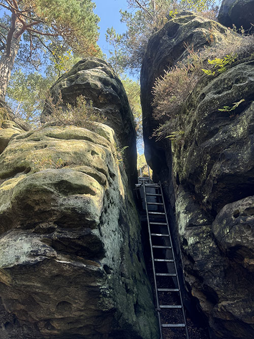 grijsopreis-duitsland-highlight-malerweg-etappe6-portrait2 Ladder