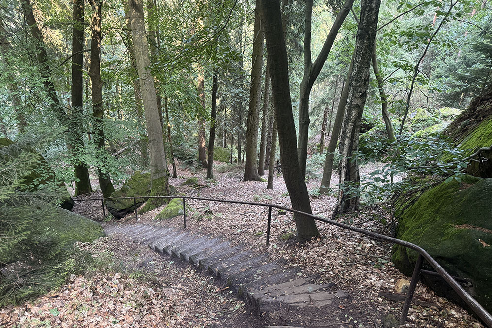 grijsopreis-duitsland-highlight-malerweg-etappe7-bos-beklimming-mobiel Beklimming door het bos naar de Pfaffenstein