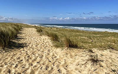 Vakantie in Les Landes – stranden, bossen en Franse gastronomie