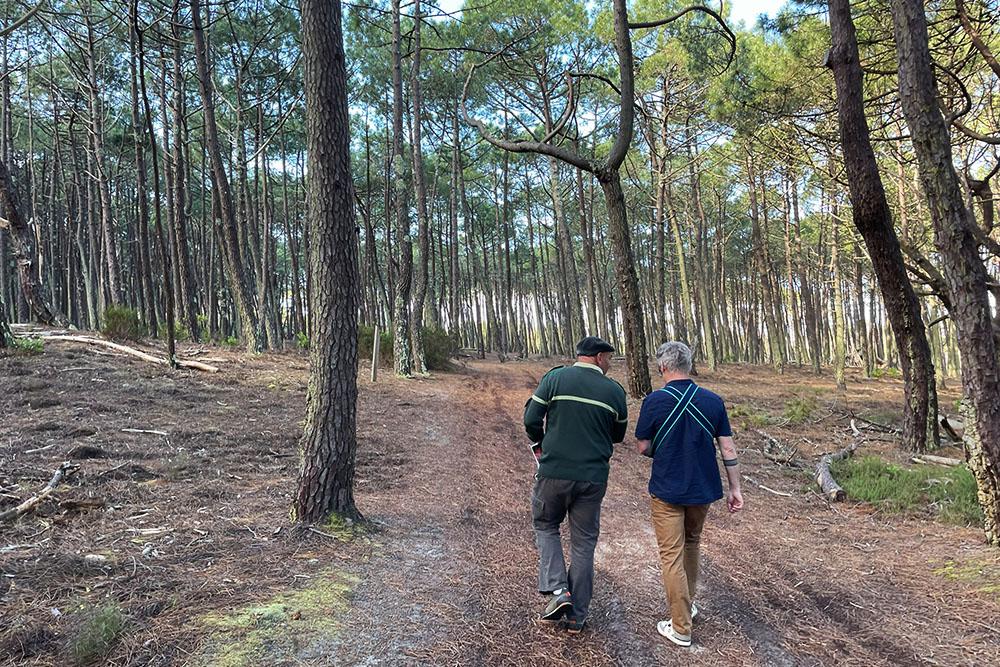 grijsopreis-frankrijk-highlight-les-landes-wandelaars-bos-mobiel Wandelaars door bos