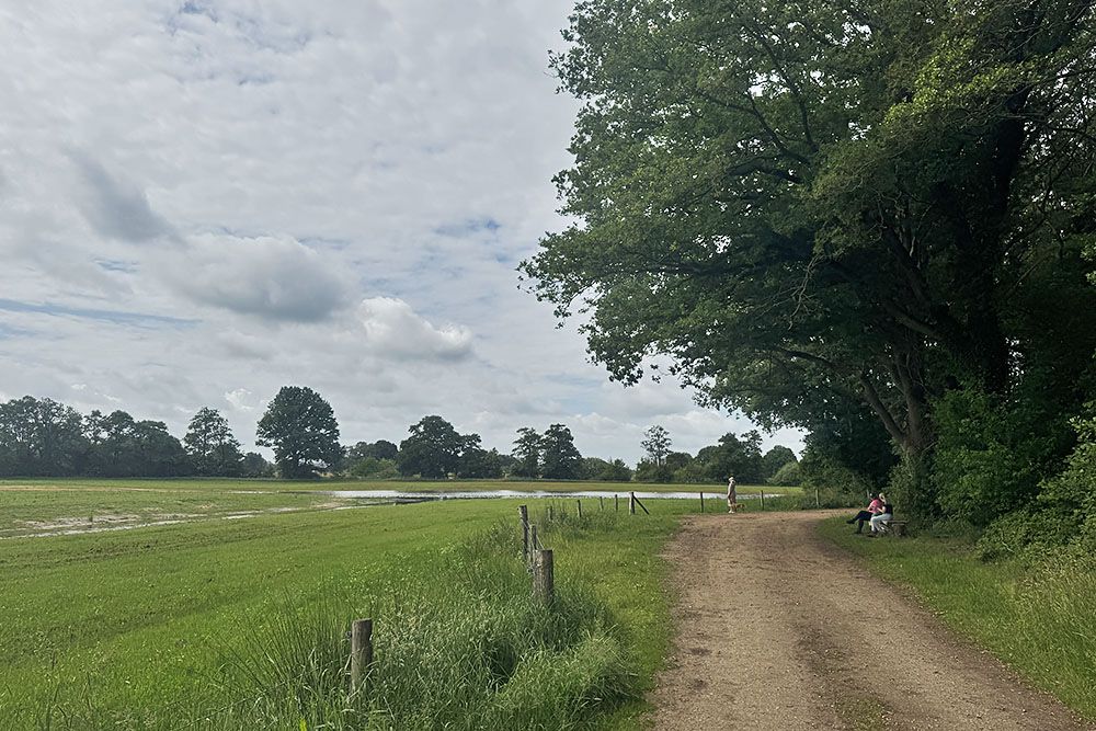 grijsopreis-nederland-highlight-pieterpad-etappe9-hardenberg-wandelaars-mobiel Wandelaas aan etappe 9 van het Pieterpad