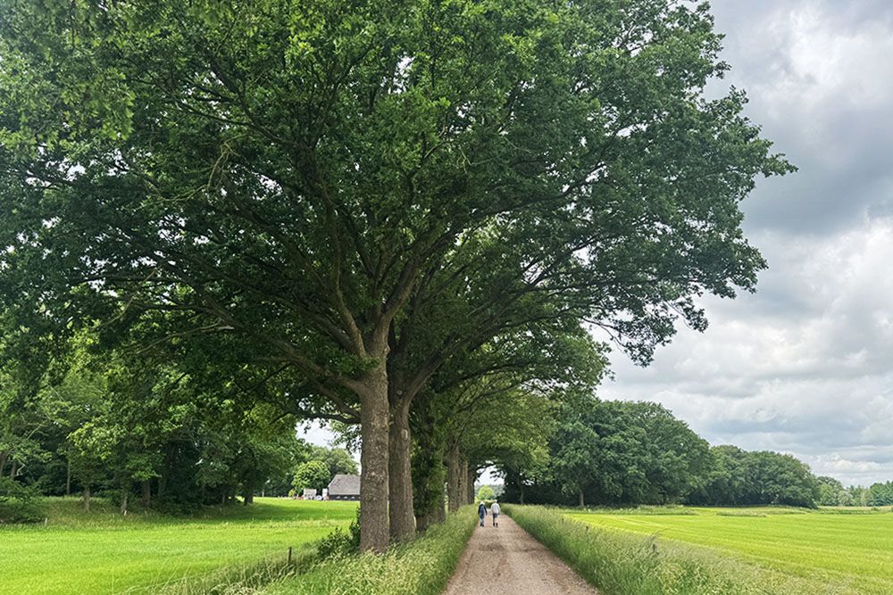 grijsopreis-nederland-highlight-pieterpad-etappe9-wandelaars-mobiel Wandelaars door coulissenlandschap