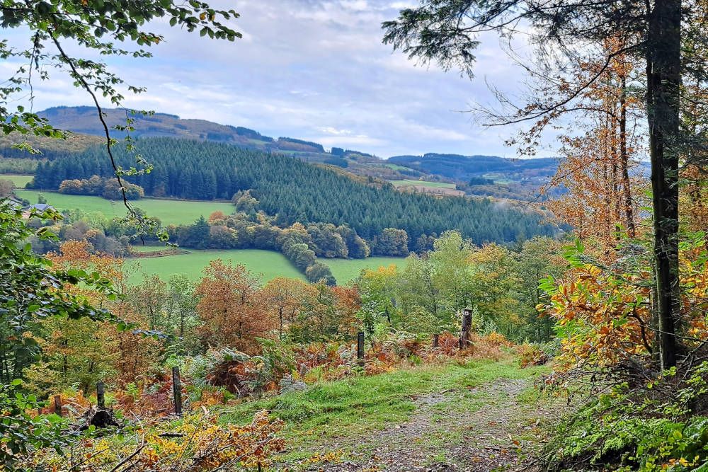 grijsopreis-nieuwsbericht-wandelvakantie-morvan-herfstleuren Treinreizen in Europa