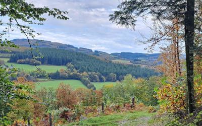 Een heerlijke wandelvakantie in de Morvan