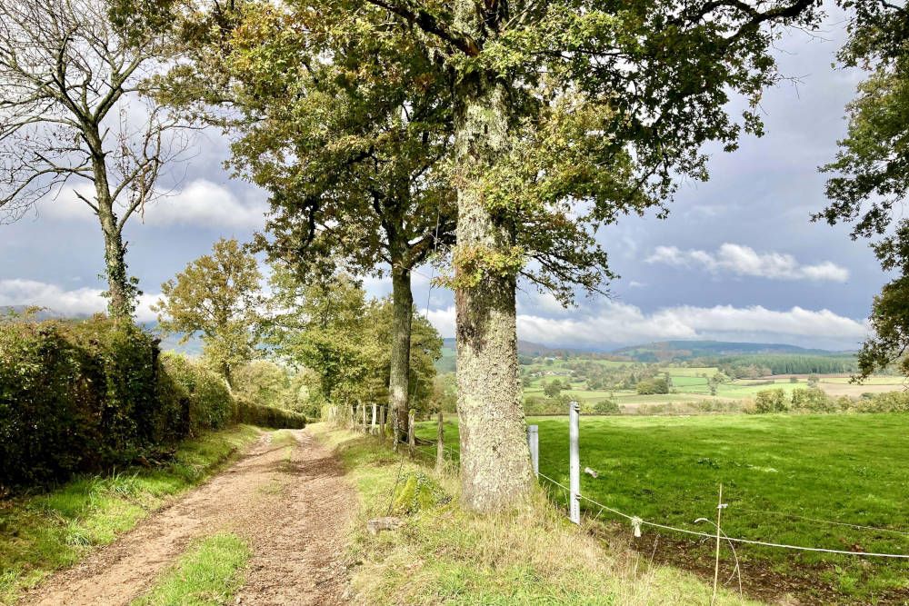 grijsopreis-nieuwsbericht-wandelvakantie-morvan-wandelpad-mobiel