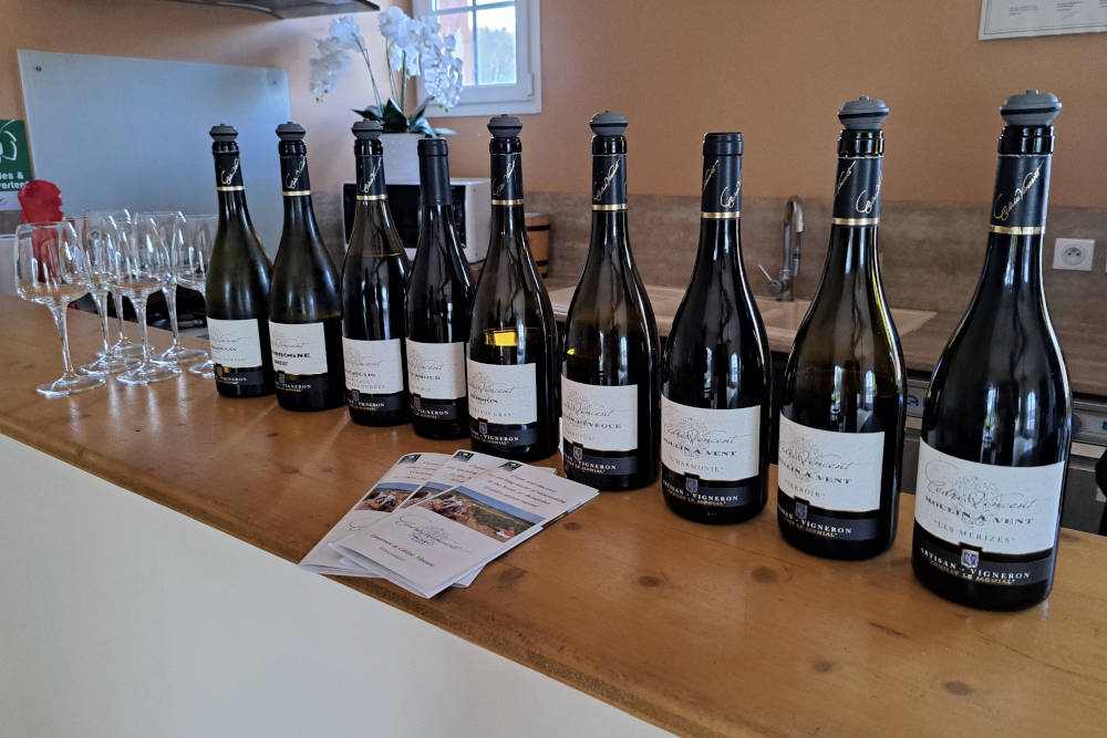 grijsopreis-frankrijk-beaujolais-hoogtepunten-cedric-vincent-mobiel