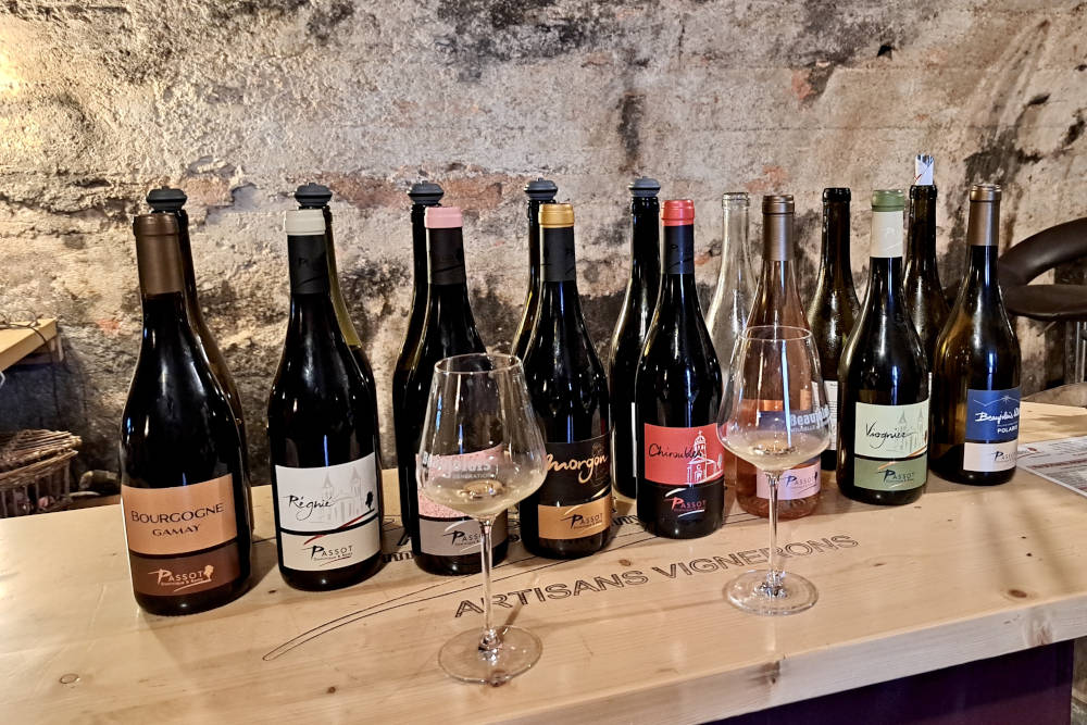 grijsopreis-frankrijk-beaujolais-hoogtepunten-domaine-passot-mobiel