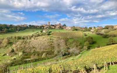 Reistips voor de Beaujolais, een authentiek wijngebied