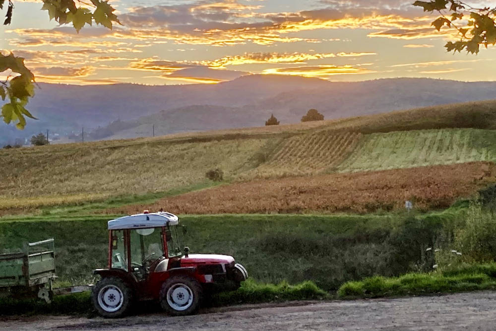 grijsopreis-frankrijk-beaujolais-hoogtepunten-tractor-1-mobiel
