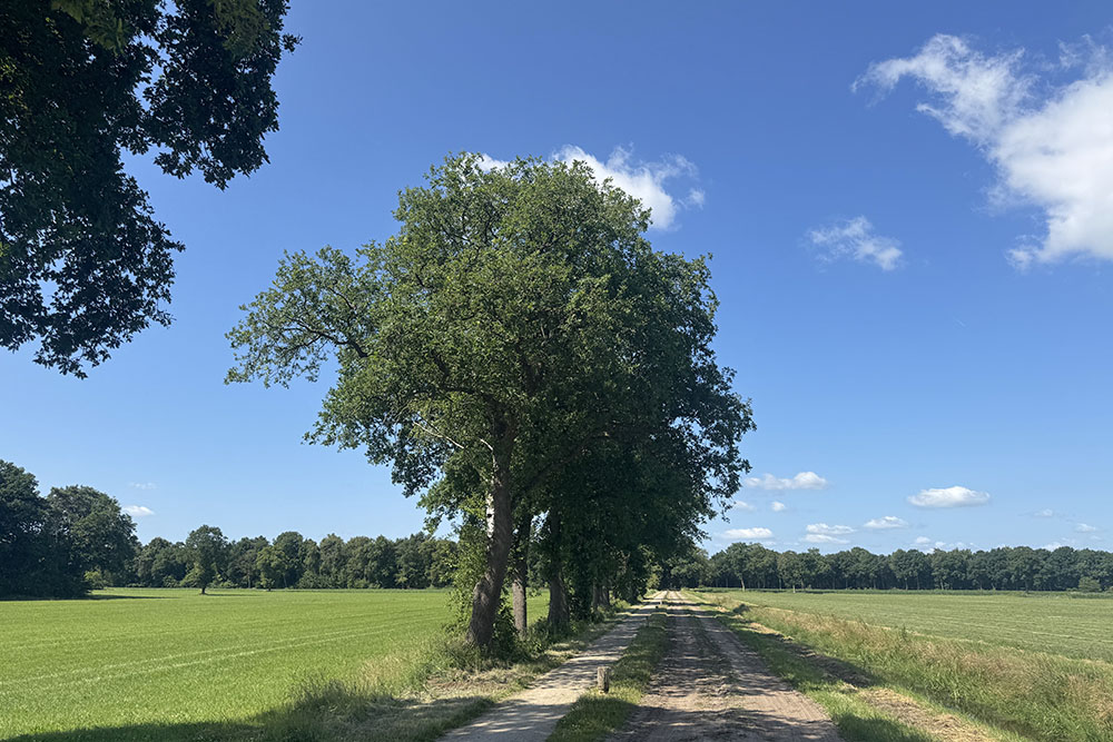 grijsopreis-nederland-highlight-pieterpad-etappe10-coulissenlandschap-mobiel Coulissenlandschap