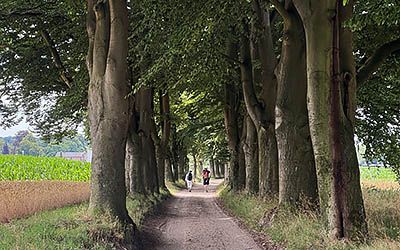 Etappe 11 van het Pieterpad – van Hellendoorn naar Holten