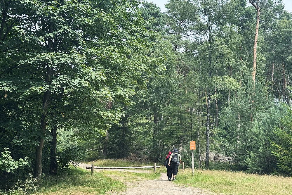 grijsopreis-nederland-highlight-pieterpad-etappe11-wandelaars-mobiel Wandelaars