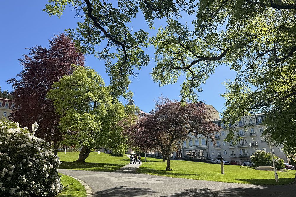 grijsopreis-tsjechie-highlight-marienbad-hotel-park-mobiel Oude auto