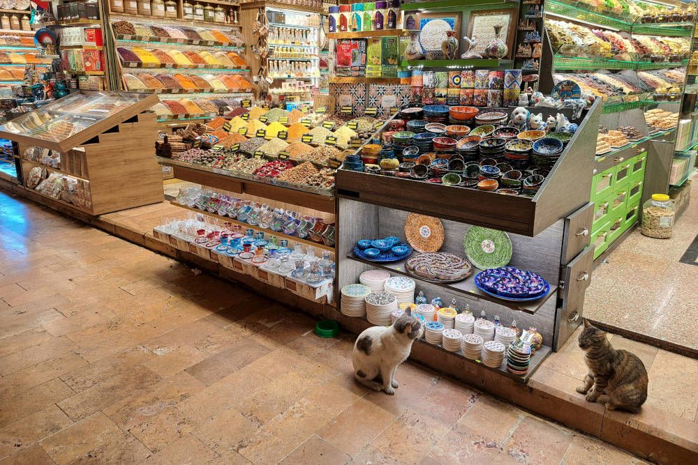 grijsopreis-turkije-hoogtepunten-istanbul-kruidenbazaar-mobiel