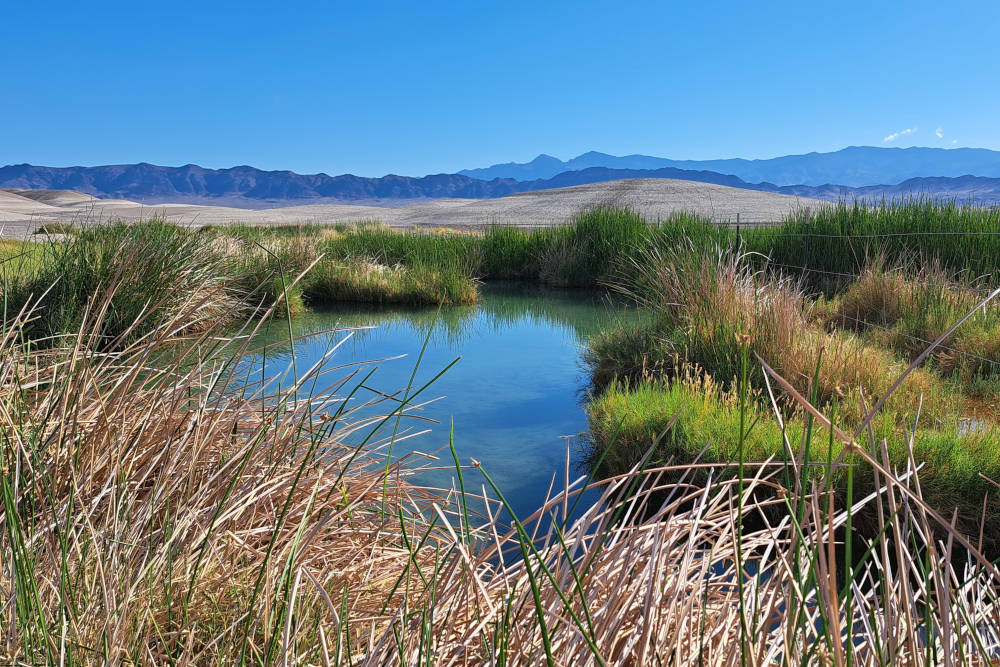 grijsopreis-verenigde-staten-mojave-death-valley-hotspring-mobiel