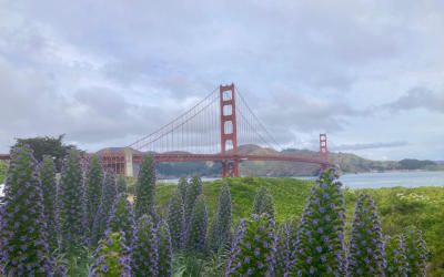 Fraaie fietstour in San Francisco over de Golden Gate Bridge