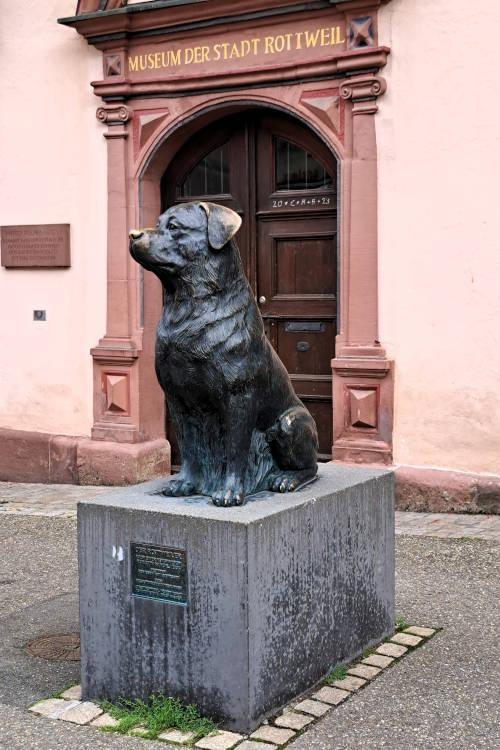 grijsopreis-duitsland-rottweil-rotweiler-pt