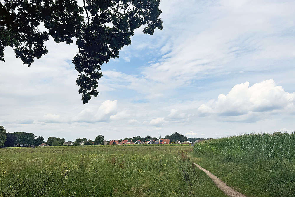 Ommen in de verte