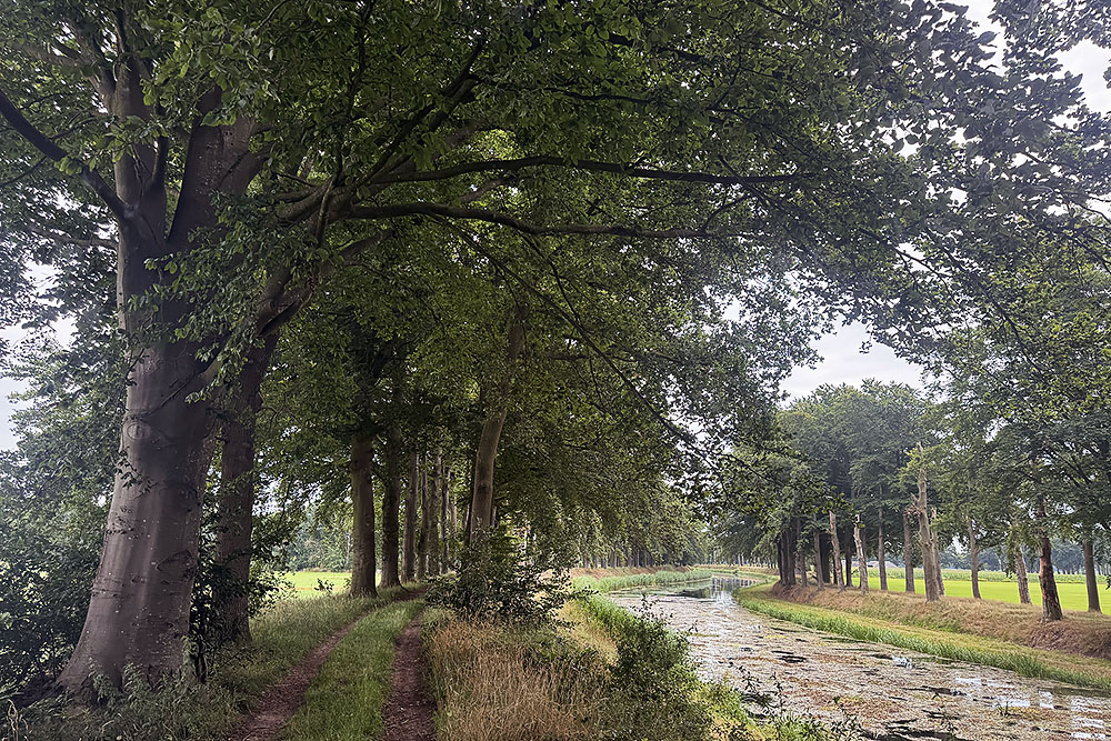 Schipbeek op de grens van Overijssel en de Gelderse Achterhoek