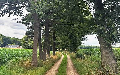 Etappe 12 van het Pieterpad – van Holten naar Laren