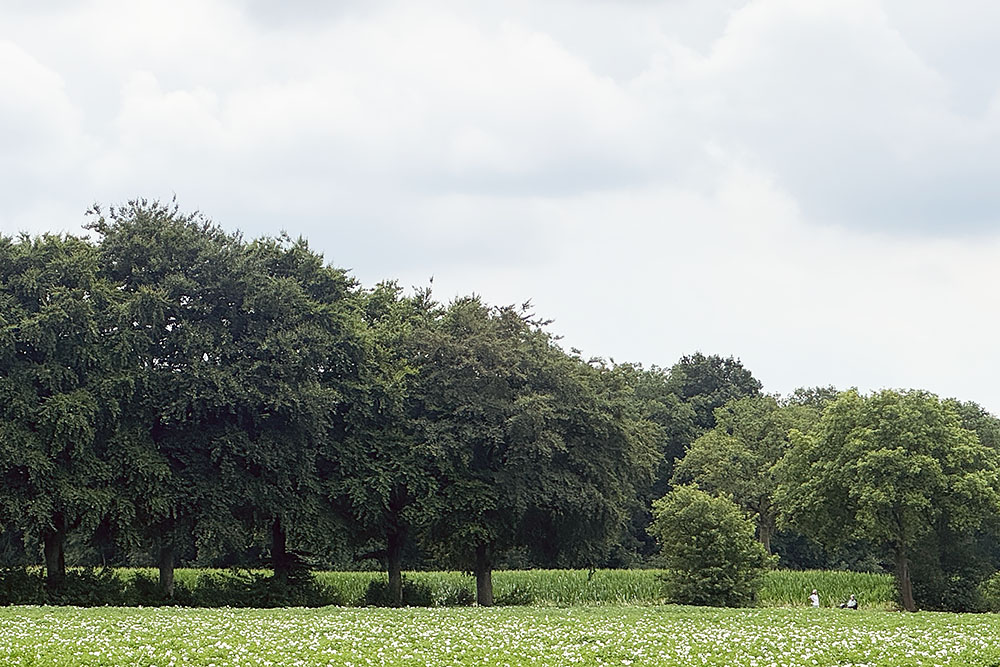 Wandelaars op etappe 12 van het Pieterpad
