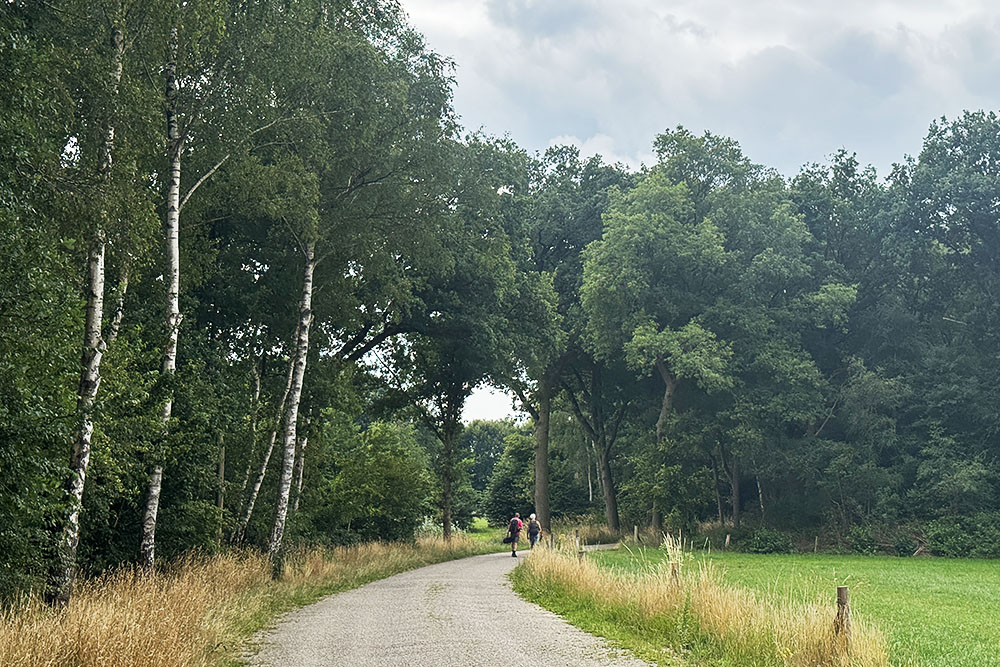 Wandelaars over het Pieterpad