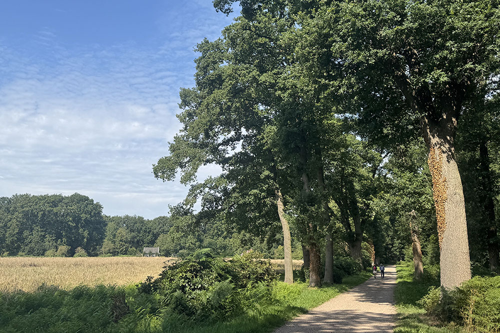 grijsopreis-nederland-highlight-pieterpad-etappe13-wandelaars-mobiel Wandelaars