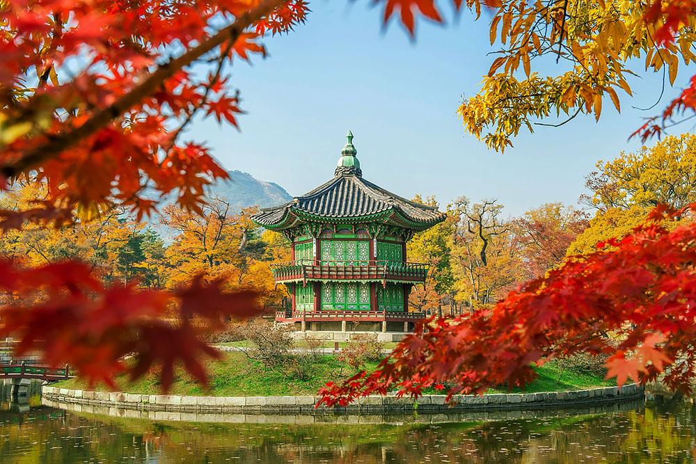 grijsopreis-oost-azie-zuid-korea-herfst-mobiel Herfst in Zuid-Korea