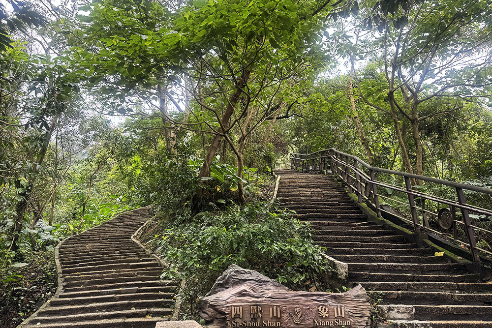 grijsopreis-taiwan-highlight-taipei-elephant-mountain-mobiel Elephant Mountain wandelroute