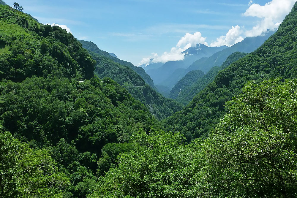 grijsopreis-taiwan-natuur-mobiel Natuur in het binnenland