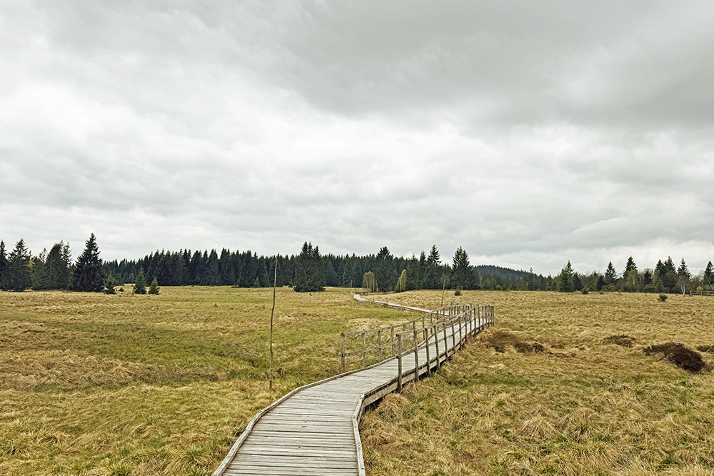 Boží Dar veengebied in West-Bohemen