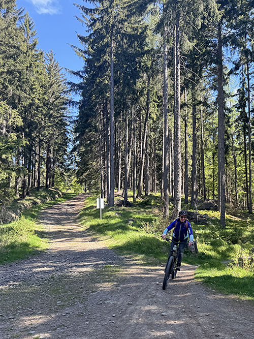 Mountainbiken in Trail Park Klínovec