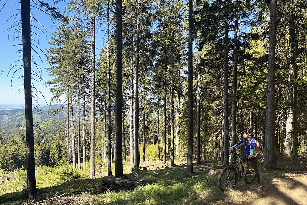 Mountainbiken in Trail Park Klínovec