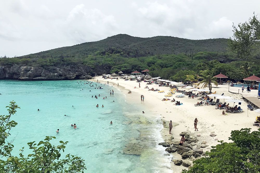 grijsopreis-caribisch-nederland-curacao-grote-knip Grote Knip