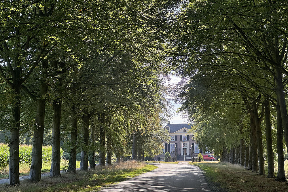 grijsopreis-nederland-highlight-pieterpad-etappe14-huis-zelle-mobiel Huis Zelle