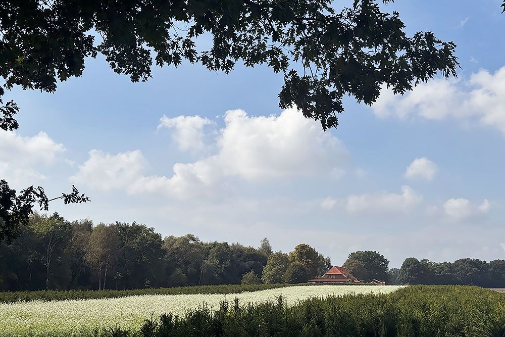 grijsopreis-nederland-highlight-pieterpad-etappe15-boerderij Boerderij