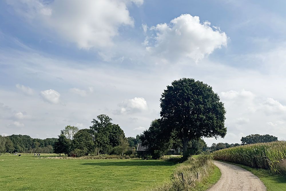 grijsopreis-nederland-highlight-pieterpad-etappe15-boerenland Boerenland