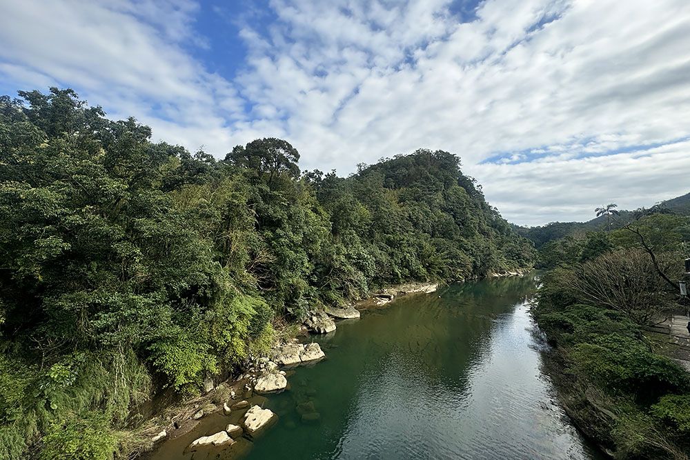 Rivier door de jungle