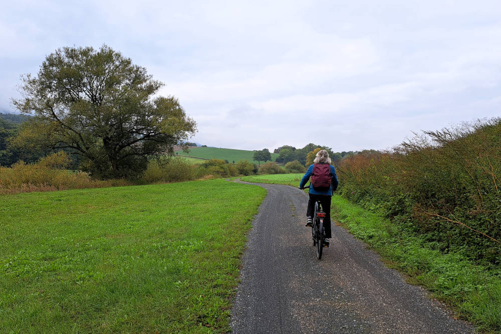grijsopreis-duitsland-reistips-nedersaksen-leine-heide-radweg