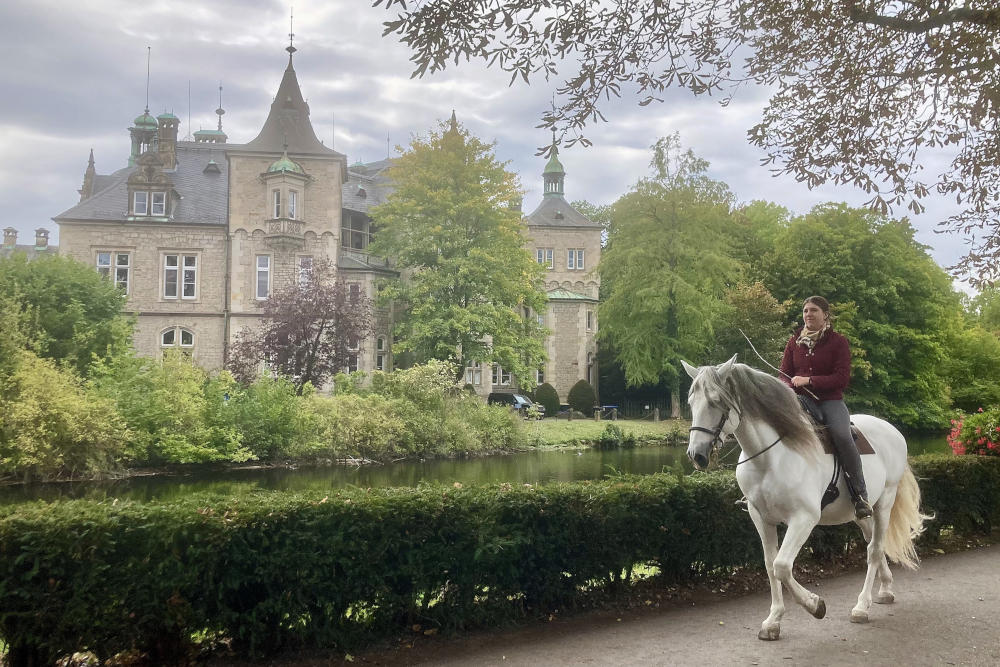 grijsopreis-duitsland-reistips-nedersaksen-paard-kasteel