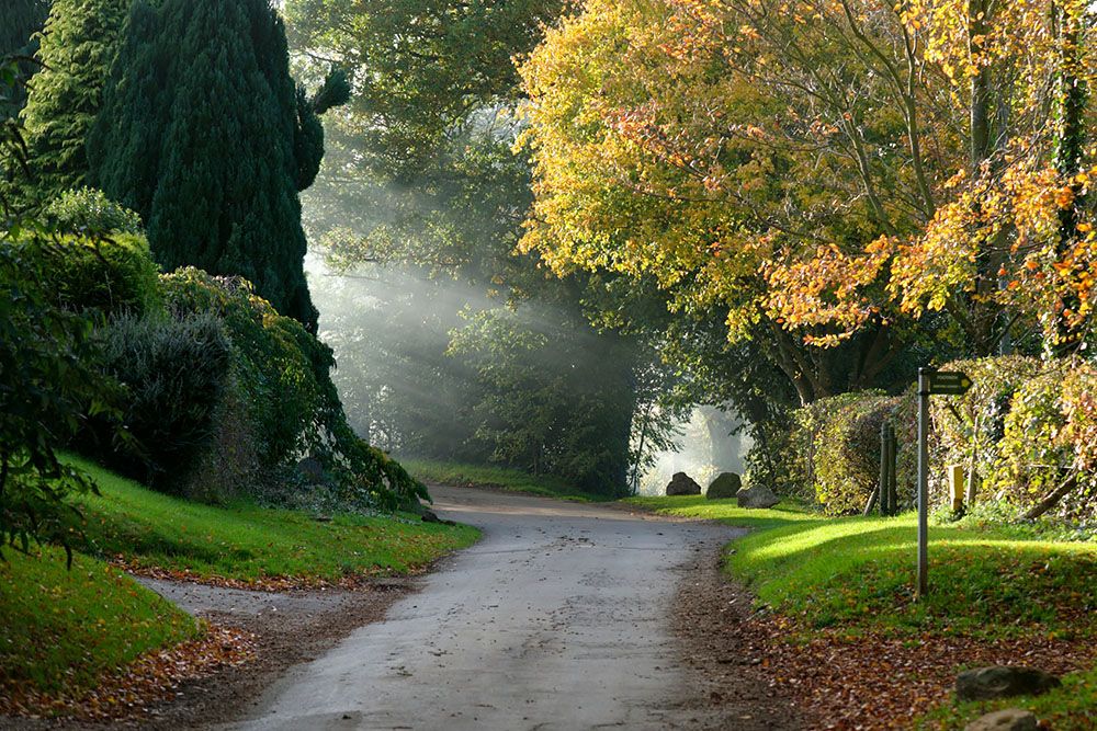 Smalle weg door de Cotswolds