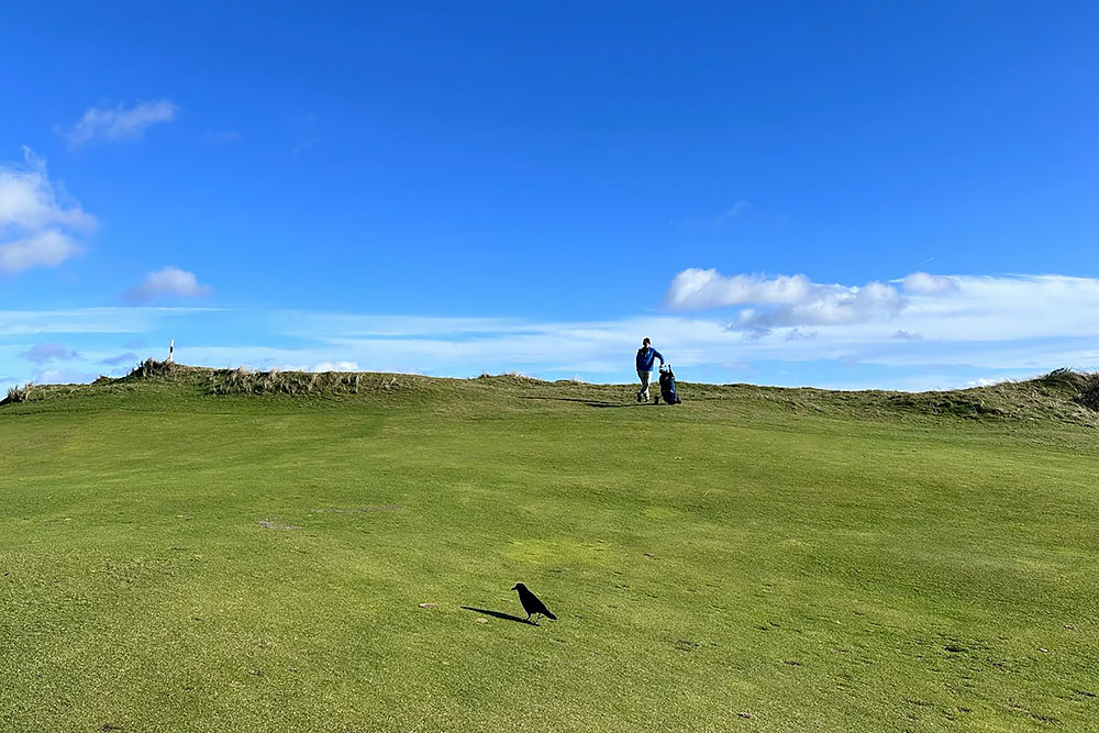 grijsopreis-ierland-highlight-golf-dublin-birdie Birdie bij St Anne's Golf Club