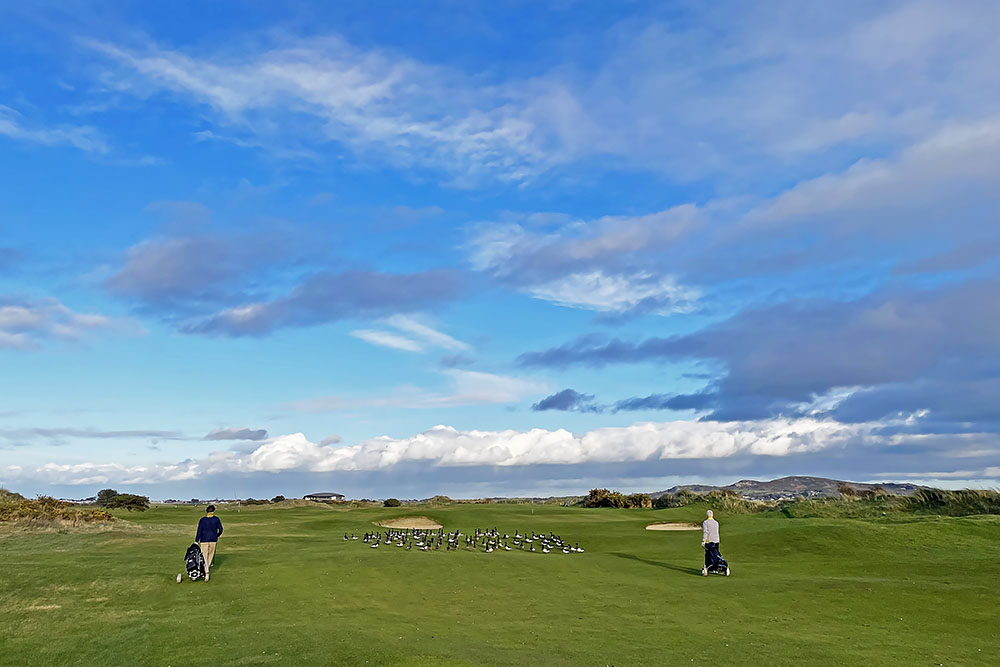 grijsopreis-ierland-highlight-golf-dublin-vogels St Anne's Golf