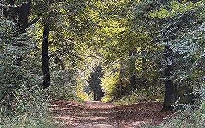 Etappe 16 van het Pieterpad – van Braamt naar Millingen