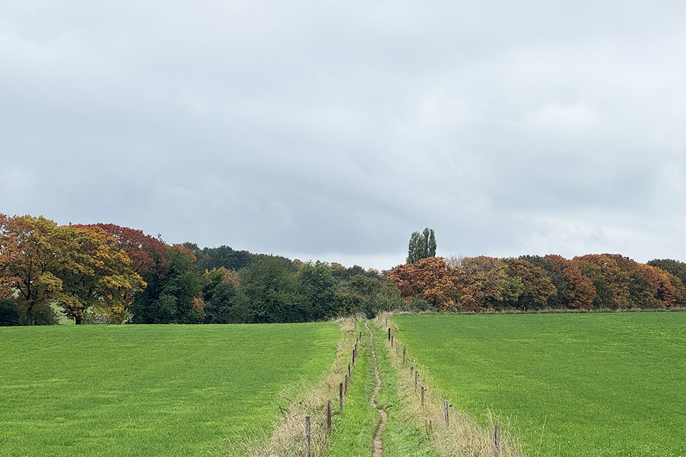 grijsopreis-nederland-highlight-pieterpad-etappe17-herfstkleuren2 Herfst in het Rijk van Nijmegen